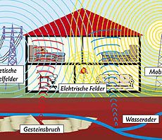 Das kranke Haus